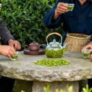 隆中茶怎么样