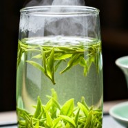 太白银毫好不好喝