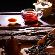 喝老茶头，先搞懂这9个问题