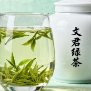 文君绿茶怎么样