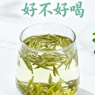 峨眉毛峰好不好喝