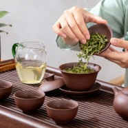黄山绿牡丹怎么样