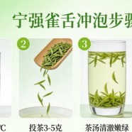 什么是宁强雀舌