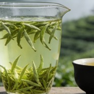 秦巴雾毫怎么样
