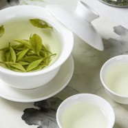 泉岗辉白茶怎么泡好喝