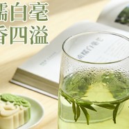 南糯白毫的历史