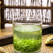 文君嫩绿的茶价格多少