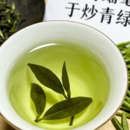 临海蟠毫茶属于炒青吗