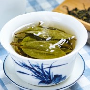 海马宫茶最好泡多长时间
