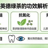 英德绿茶的功效怎么样