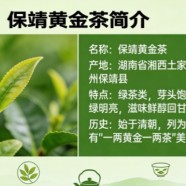 保靖黄金茶简介