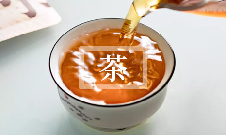 七子饼茶新手选购清单