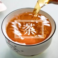 七子饼茶新手选购清单
