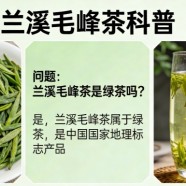 兰溪毛峰茶是绿茶吗
