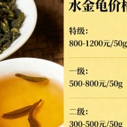 水金龟的价格是多少