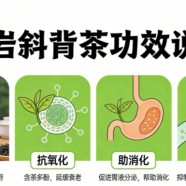 龙岩斜背茶功效有哪些