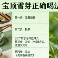 宝顶雪芽的正确喝法