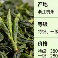 九龙茶茶叶多少钱一斤