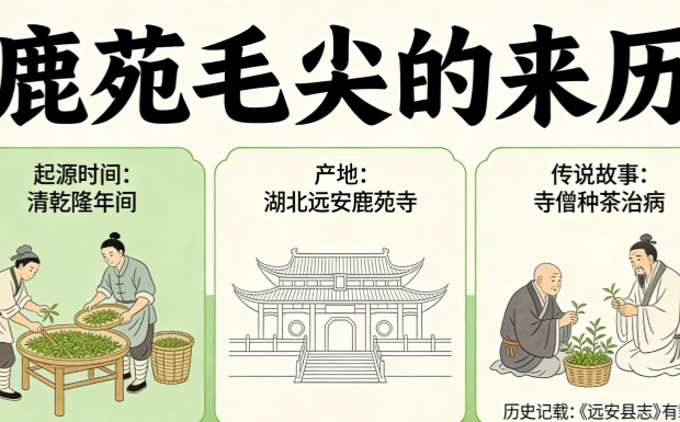 鹿苑毛尖的来历
