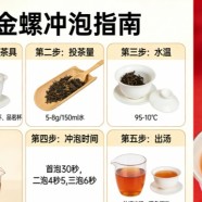 滇红金螺怎么泡