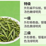 汉水银梭什么档次