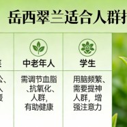 岳西翠兰适合什么人喝