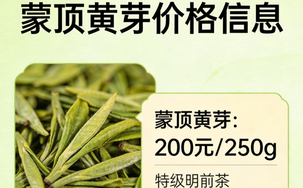 蒙顶黄芽的价格是多少