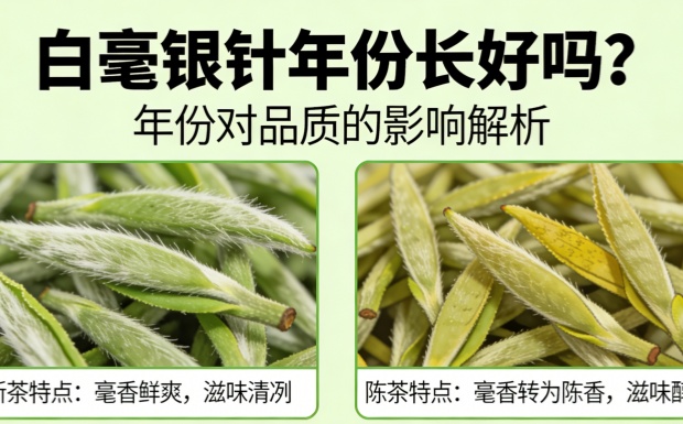 白毫银针年份长好吗