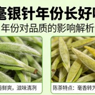 白毫银针年份长好吗