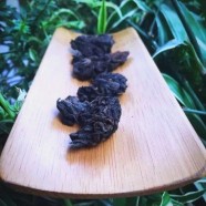 老茶头普洱茶的介绍