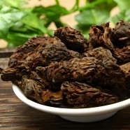 老茶头为什么会发酵
