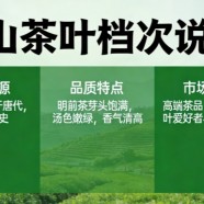 西山茶叶属于什么档次