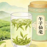午子仙毫怎么样