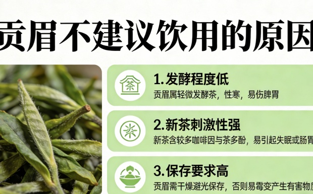 贡眉为什么不建议喝