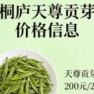 桐庐天尊贡芽的价格是多少