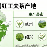 越红工夫茶红茶产地在哪儿