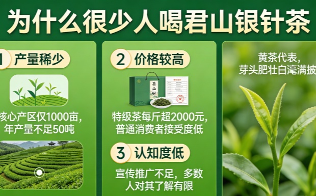 为什么很少人喝君山银针茶