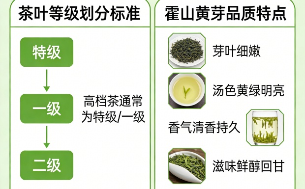 霍山黄芽是高档茶吗