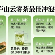 庐山云雾茶怎么泡最好