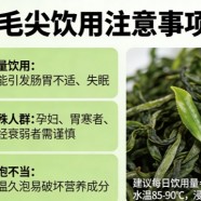 鸠坑毛尖为什么不能随便喝