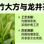 老竹大方和龙井茶的关系
