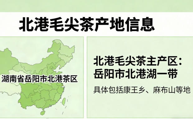 北港毛尖茶产自哪里