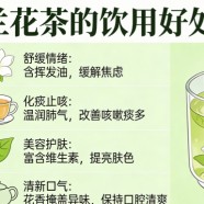白兰花茶泡茶喝有什么好处