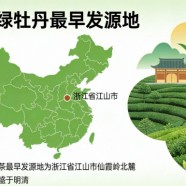 江山绿牡丹最早发源地