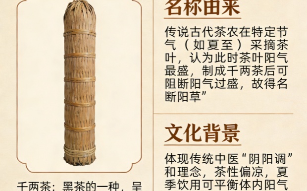 千两茶为何叫断阳草