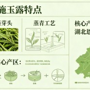 恩施玉露算高档茶吗