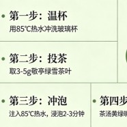 敬亭绿雪泡几分钟最好喝