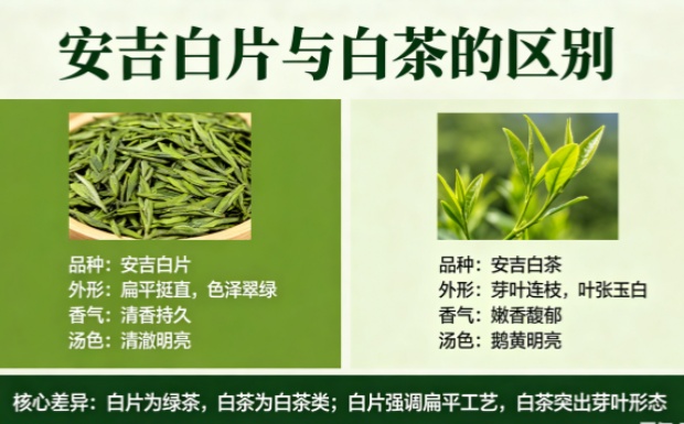 新对话-2_副本.jpg