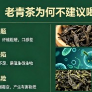 老青茶为何不建议喝