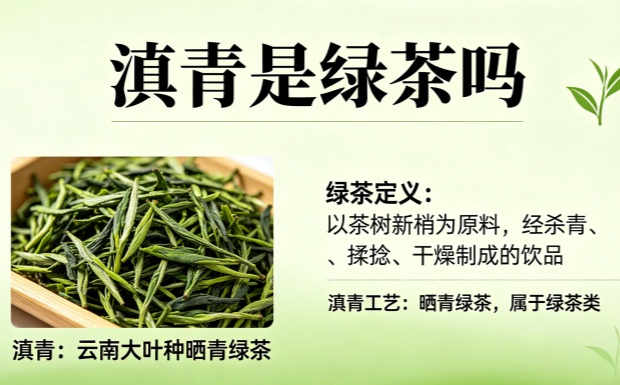 滇青是绿茶吗